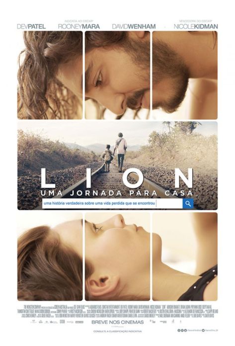 lion_1